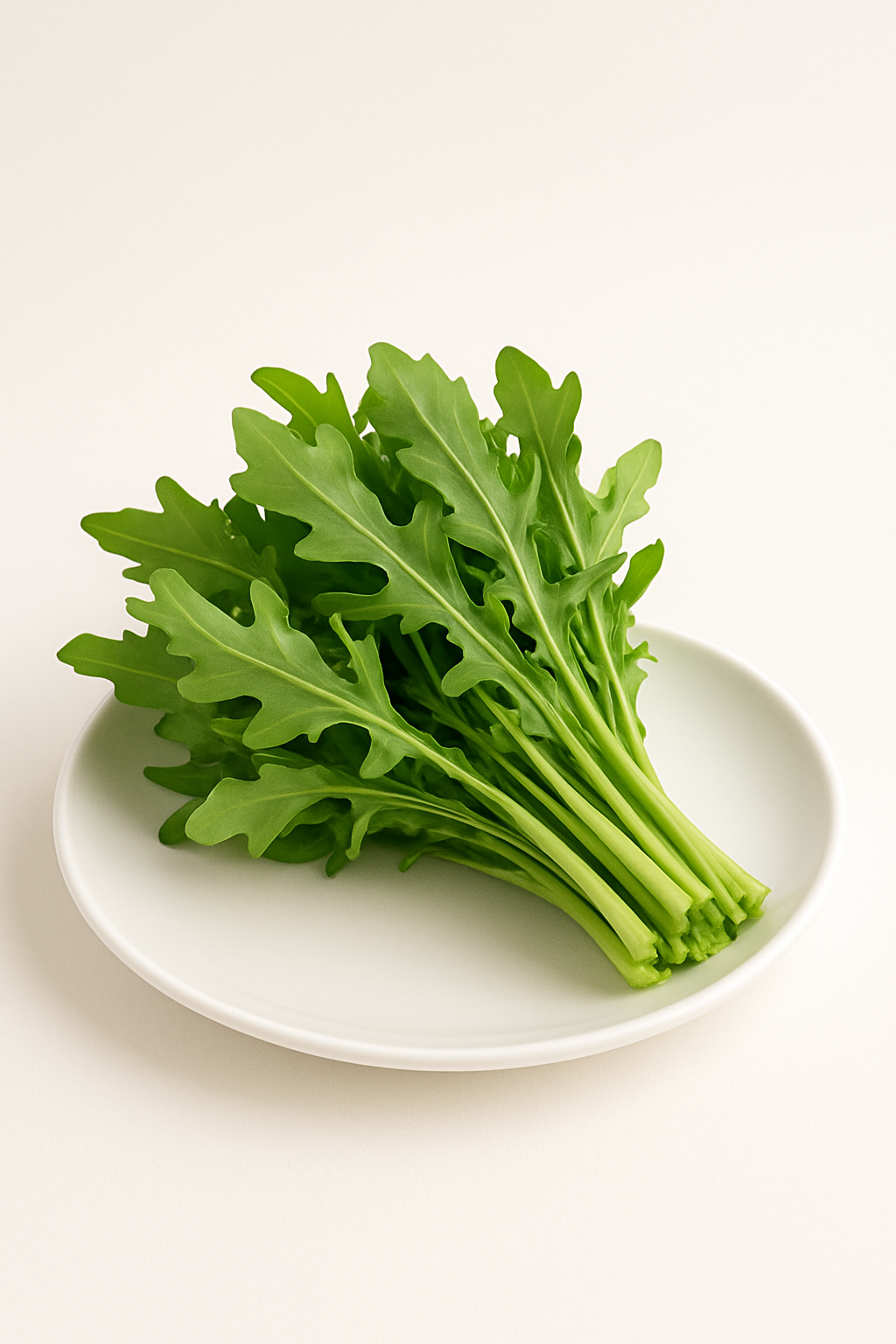 Rocket Lettuce (Arugula)