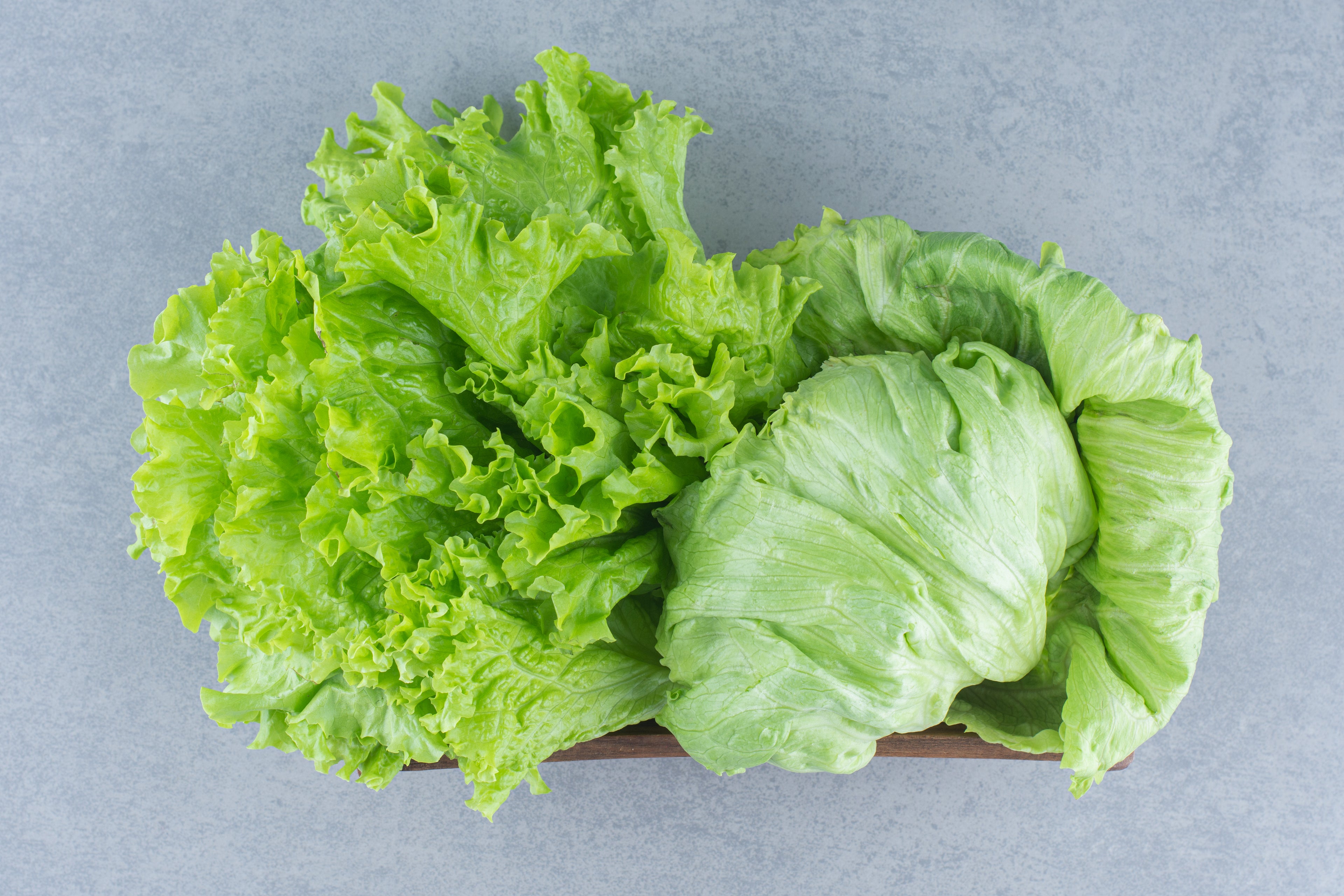 Green Lettuce