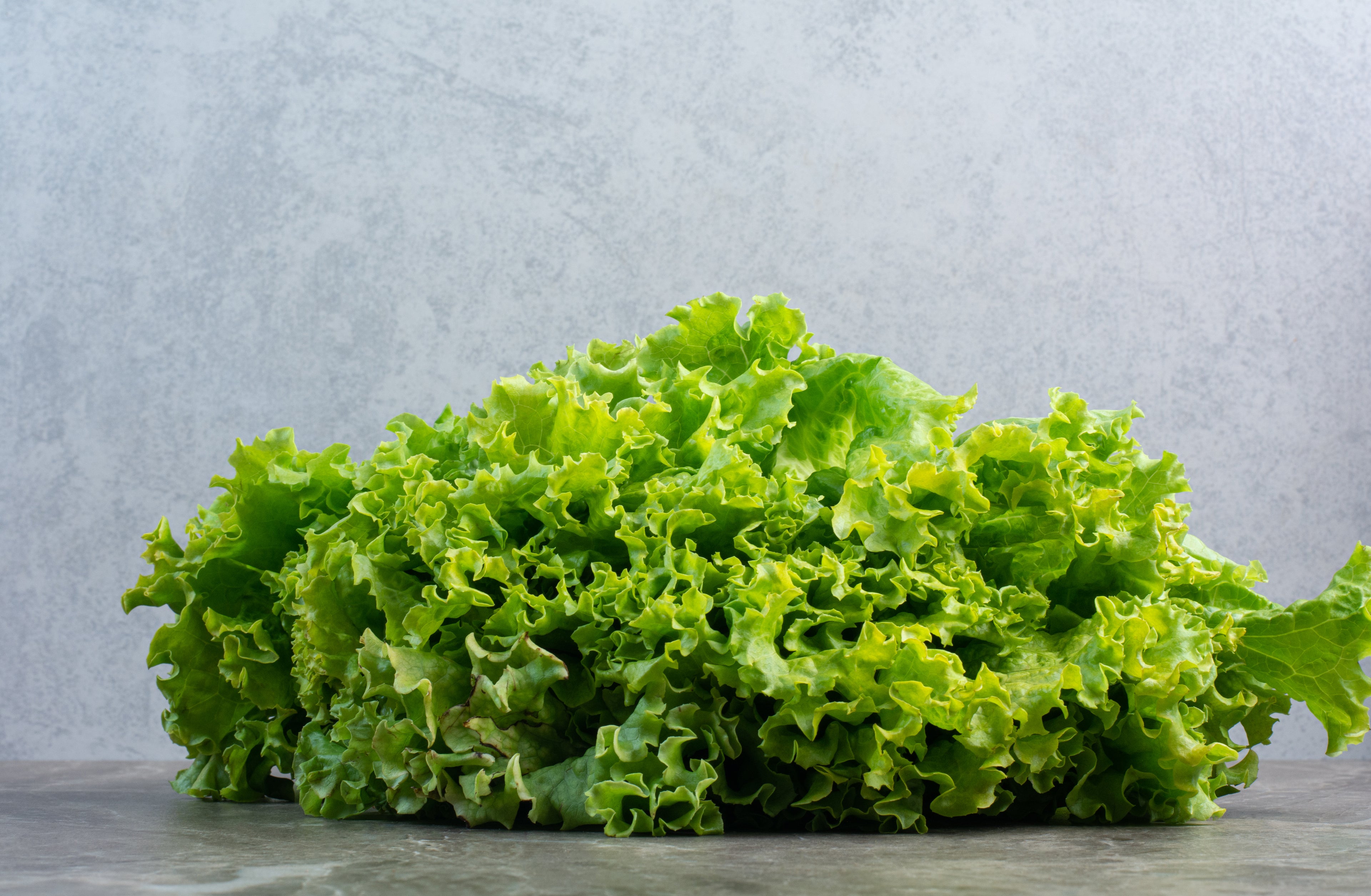 Romaine Lettuce